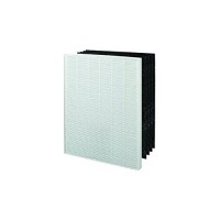 Winix Size 25 Replacement HEPA Filter Set for P450 Air Cleaner - B00JFH1O54